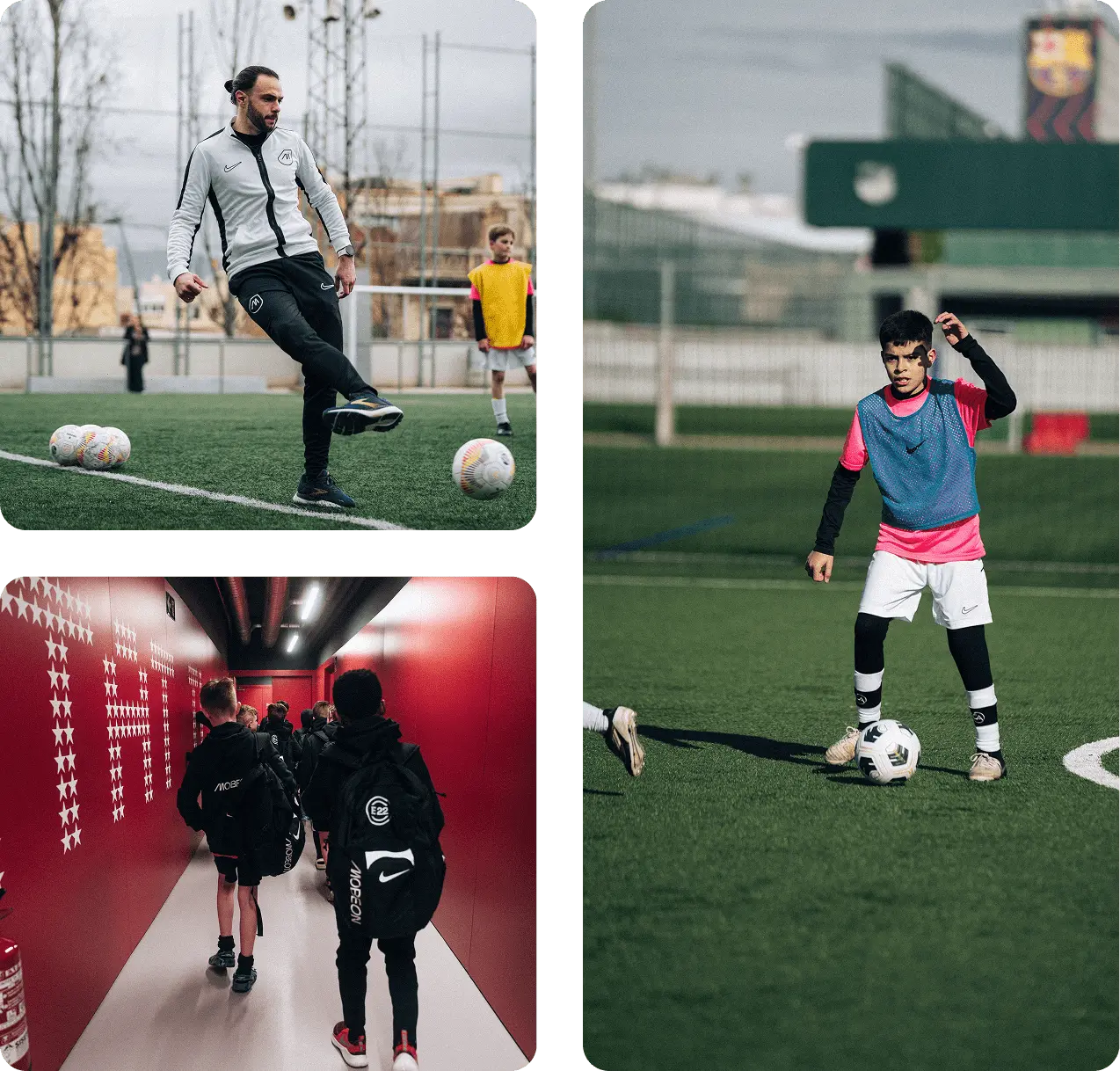 Mobeon Sports - What you get